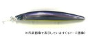 ダイワ ショアラインシャイナーZ セットアッパー 145S−DR ラトリンカタクチチャートベリー