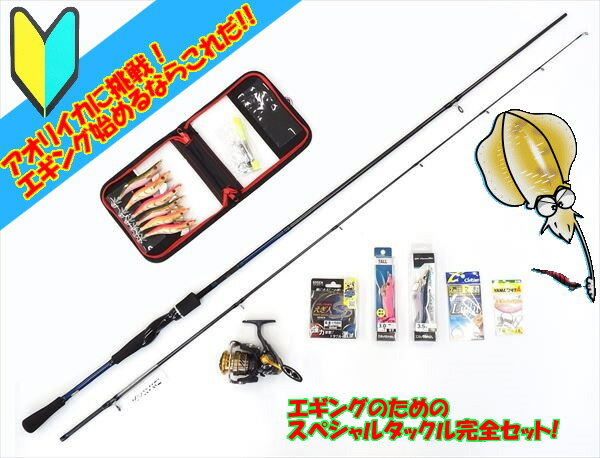 エギングセット 中級者向 すぐに使える イカ釣り 竿 リール 堤防 ロッド