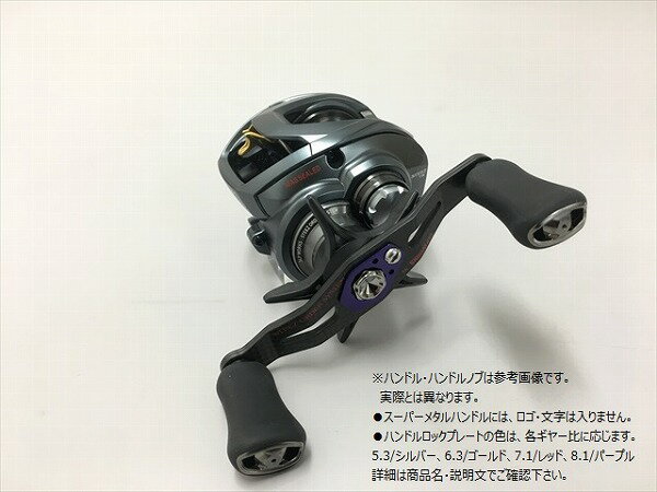 DAIWA STEEZ セミオーダーシステム