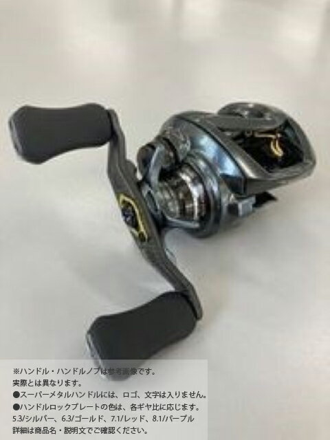 SLPWORKS スティーズ CT SV TW-H CT SV 700スプール 95mmカーボンハンドルGD ハイグリップフラットノブ