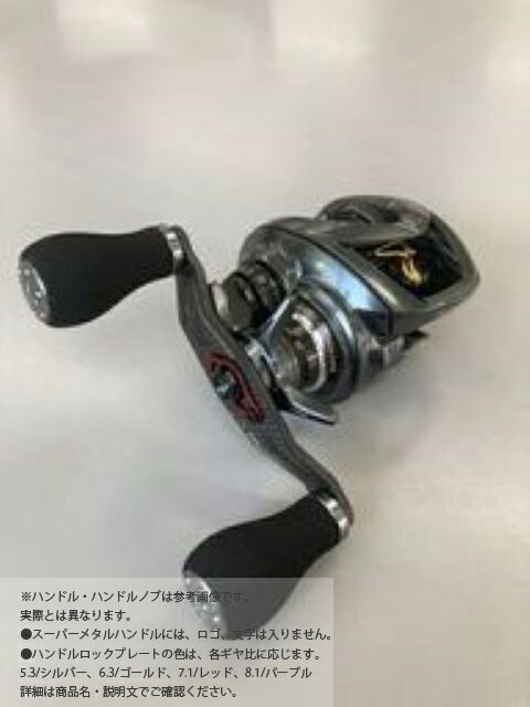 SLPWORKS スティーズ CT SV TW-SH CT SV 700Sスプール 95mmカーボンハンドルGD パワーライトノブS GM