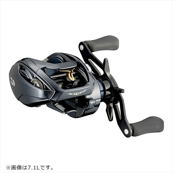 【スーパーセール期間限定最大P10倍＆お得なクーポン】ダイワ ベイトリール スティーズ A TW HLC 6.3L 2021年モデル (左巻) casting-10435924 釣具のキャスティング 楽天市場店 サンプル画像2