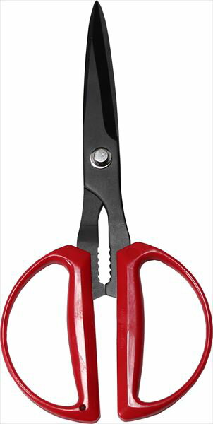 ڥѡŹ ݥȥХåP10+оݾP10ܡۥȡ إޥϥ 190