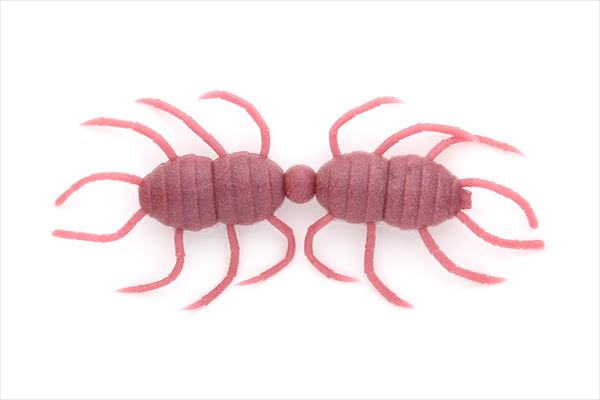 Worm - イマカツ ワーム 風神スパイダートレーラー (エコ対応品) #S-509 タカラダニ