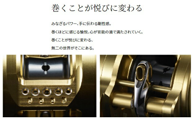 サンプル画像2