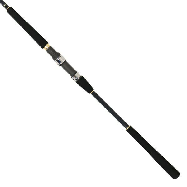 A.T.LAB 船竿 MASTER EDGE 船 G-TOP 50-200 (2ピース)