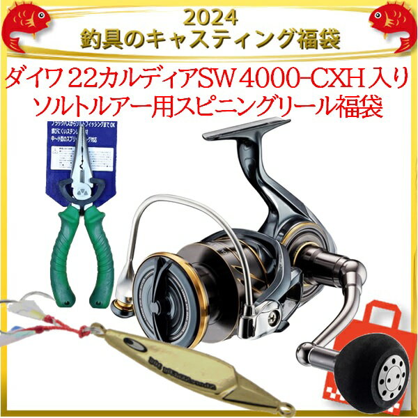 2024釣具のキャスティング福袋 ダイワ 22カルディア SW 4000-CXH 入りソルトルアー用 ...