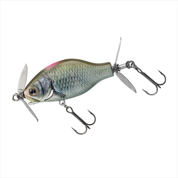 Daiwa Gillnado 50F Site Real Small Carp