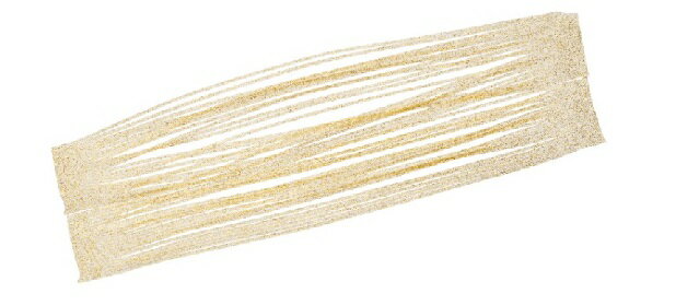 【スーパーセール限定店内企画 ポイントバック最大P10倍+対象商品P10倍】【ネコポス対象品】ダイワ 紅牙 カットスカート ゴールドラメ