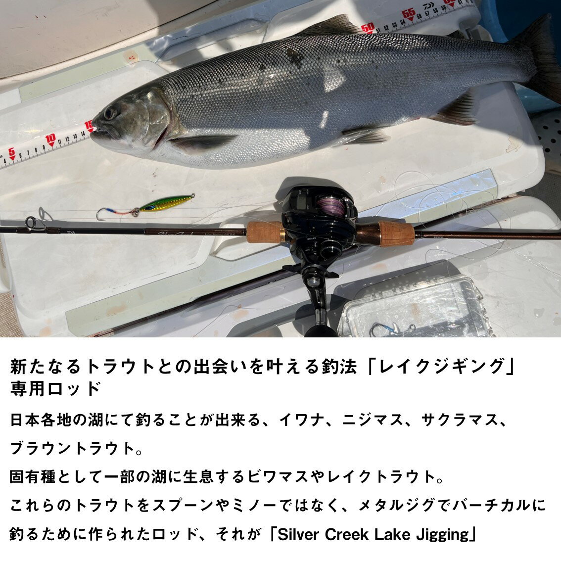 サンプル画像3