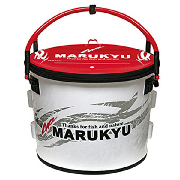 週末限定値下げ MARUKYU バッカンセット