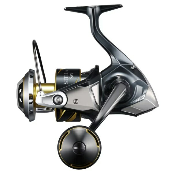 SHIMANO - シマノ スピニングリール 25 ステラSW 8000PG