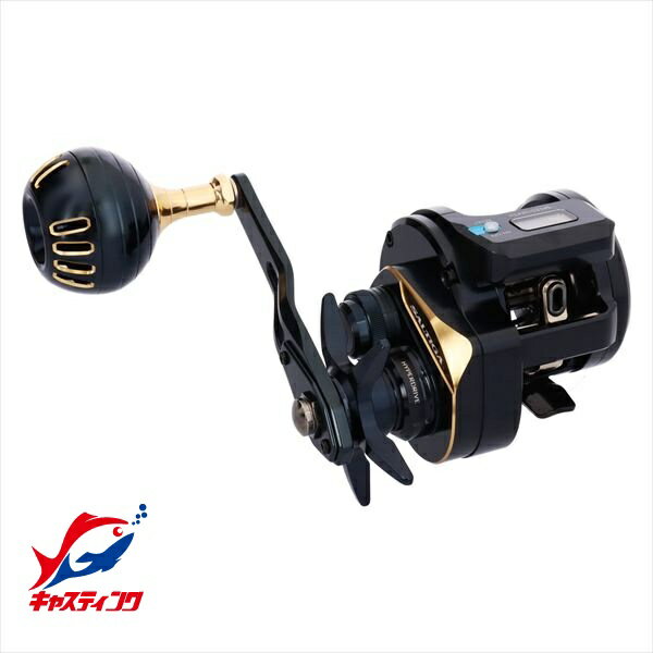 本日のみ年末特価！！ソルティガIC300 ダイワ ソルティガ IC 300 (リール) 価格比較 - 価格.com