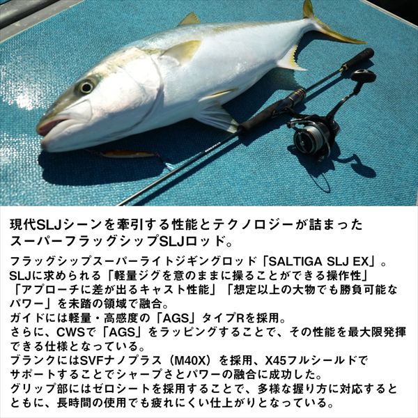 ��ͽ���ʡ� ������ ���ե��祢���å� ����ƥ��� SLJ EX 62MB-SMT(1�ԡ���) ��4����ܺ�ȯ��ͽ�� ��¾����Ʊ����ʸ�Բġ�