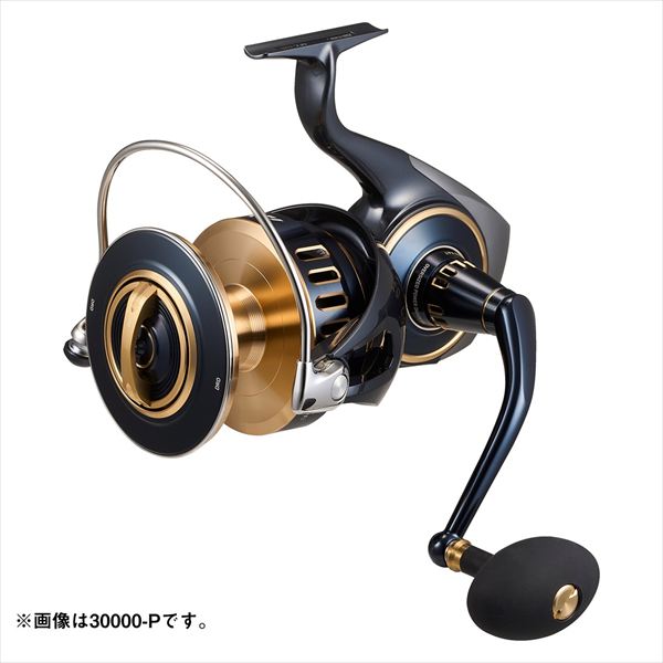 ソルティガ 30000-H の商品画像2枚目