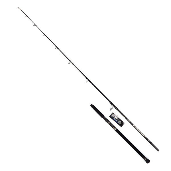 Xesta Catapult S83-6 Spinning