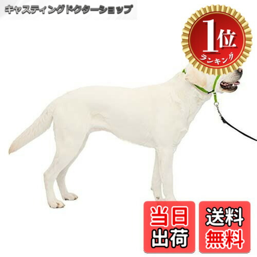 楽天市場】ジェントル リーダーの通販