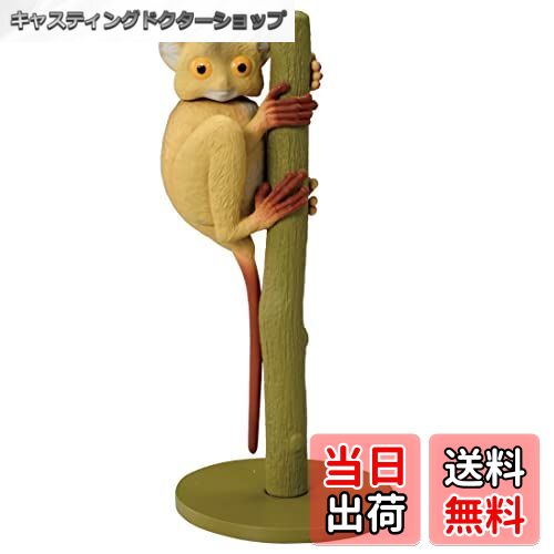 【送料無料】タカラトミー アニア AS-27 メガネザル (ニシメガネザル) 動物 恐竜 おもちゃ 3歳以上