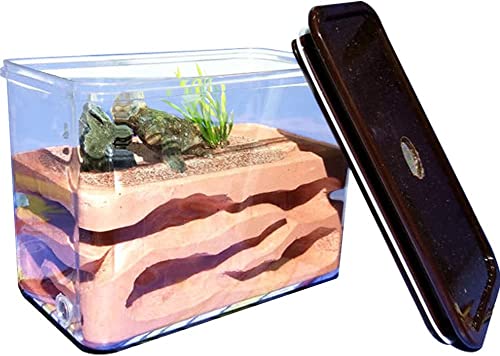 【送料無料】Umora アリの巣 アリ飼育キット 石膏製巣箱 アリ観察キット アリ城 蟻用飼育ケース アリ飼育箱 昆虫 自由研究 観察日記 教育玩具 蟻なし