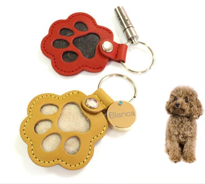 ̵ۥڥå   2  ۥ ̿  ꥢ륰å Υ ⤭ 襤 ڥå  ǭ ưʪ L...