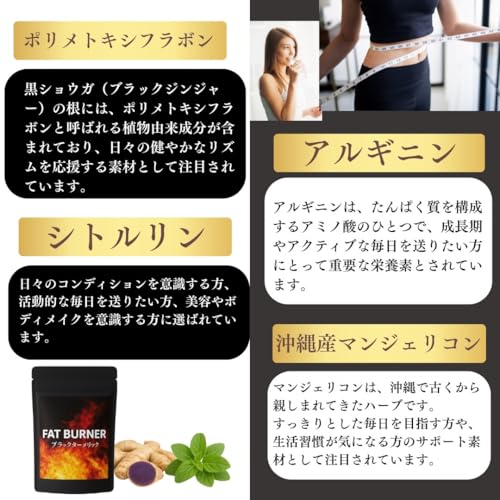 キャスティングドクターショップの【送料無料】脂肪燃焼サポートサプリメント《ブラックターメリック配合》｜ポリメトキシフラボンxアルギニンxシトルリン｜沖縄産マンジェリコン配合【FAT BURNER】｜アングル2