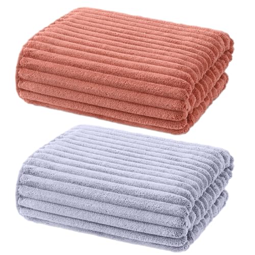 【送料無料】バスタオル 大判 170cm × 90cm 2枚セット 大判タオル 速乾 薄手 防臭 耐久性 お風呂上がり用 旅行 スポーツ 四季通用