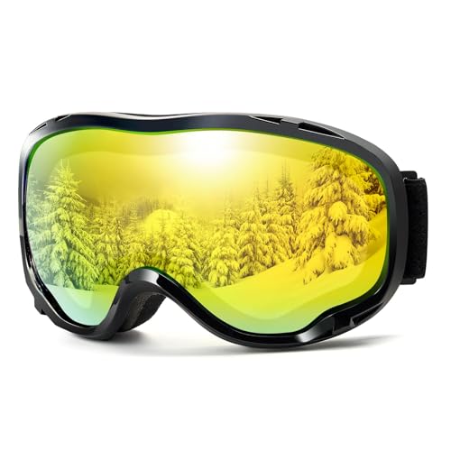 【送料無料】[Laberush] スキーゴーグル 曇り止め ダブルレンズ REVOミラー スキー ゴーグル スノーゴ..