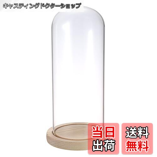 【送料無料】Sumnacon　透明ガラスドーム　コレクションケース　ガラスディスプレイケース　木製ベース..