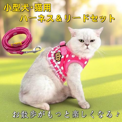 キャスティングドクターショップの【送料無料】TARATI ペット犬 猫 用 ハーネス 胴輪水玉模様の猫 服 小型犬のためのペットベストロープ調整可能120 Cmバッファーロープ 黒リード セット 超小型犬 小型犬 子犬 猫 散歩/訓練/お出掛 安全 抜けない 軽量｜アングル2