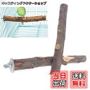 【送料無料】YFFSFDC 鳥止まり木 爪を磨く 噛むおもちゃ 自然木 鳥おもちゃ止まり台 鳥休み台 遊び場 バランス練習 ストレス解消インコ オウム 鳥 文鳥...