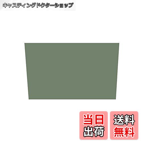 【送料無料】スノーピーク(snow peak) ランドベース6 インナーマット TM-606