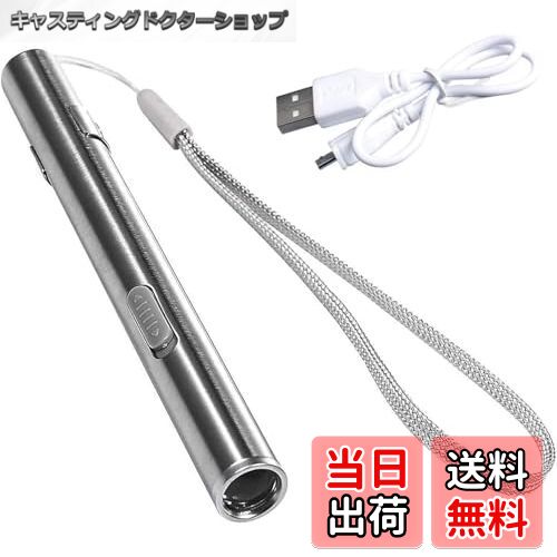 【送料無料】KEWAYO ミニLed懐中電灯 ハンディライト USB充電式 小型 懐中電灯 USBケーブル付属 キャン..