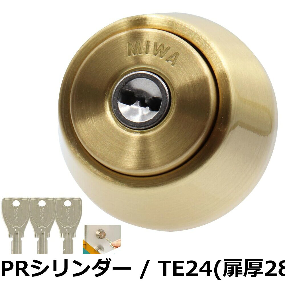 【送料無料】LSPシリンダー BS色