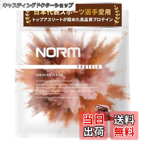 【送料無料】NORM ノーム ホエイ プロテイン 人工甘味料不使用 チョコレート 1kg 100名以上のトップアスリート愛用 WPC WHEY PROTEIN ホエイプロテイン 国内製造