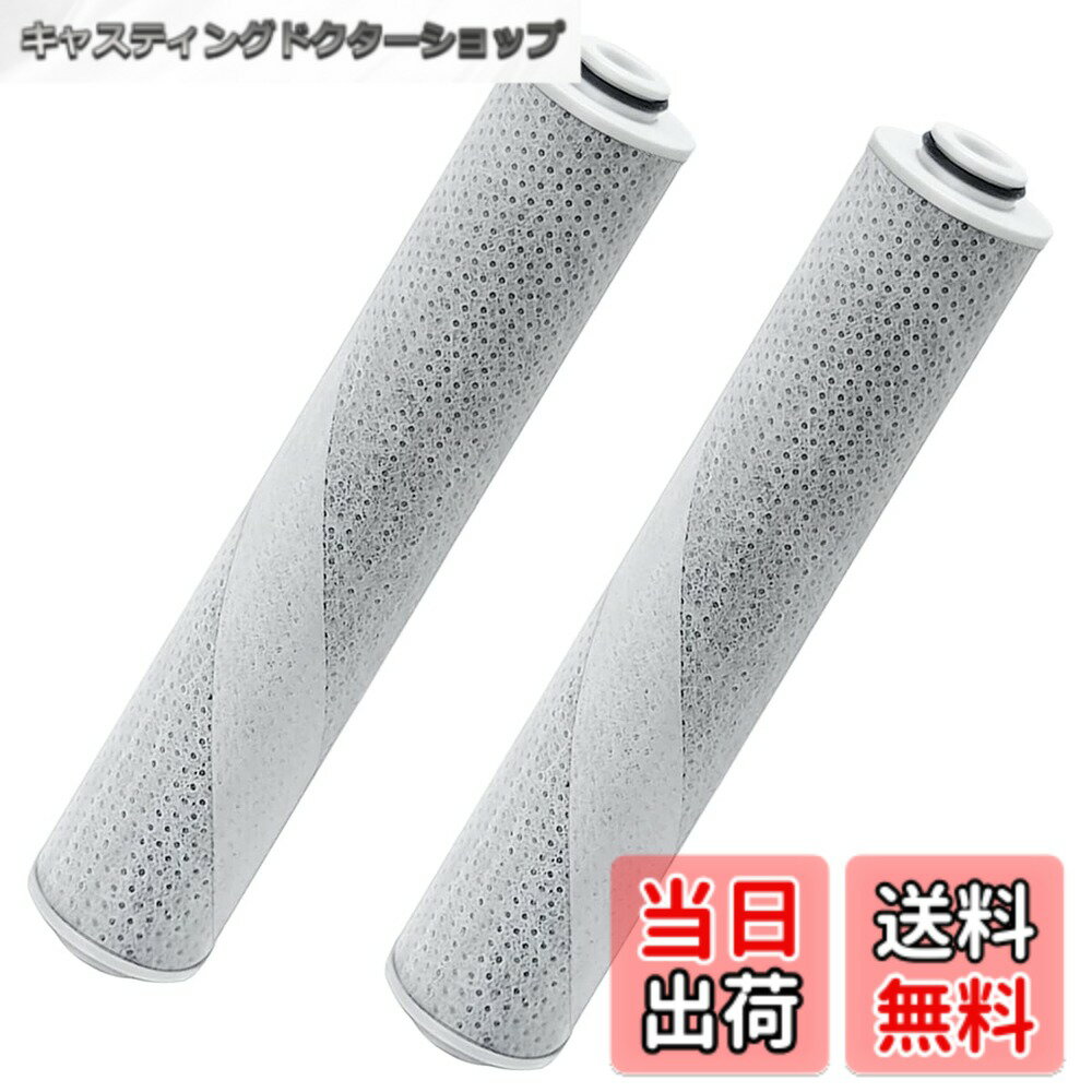 Bath Salts - 【送料無料】JOYES RSC51 浄水 カートリッジ rsc51 浄水シャワー 交換カートリッジ RS53 RS52 RS51 交換用 シャワーカートリッジ(互換品/2個入り)
