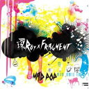 環 ROY × Fragment / MAD POP