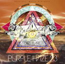 【¥↓】 DJ DIRT FLARE / PURPLE HAZE 23
