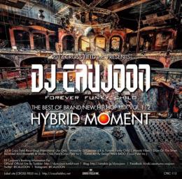 yz DJ CAUJOON / HYBRID MOMENT