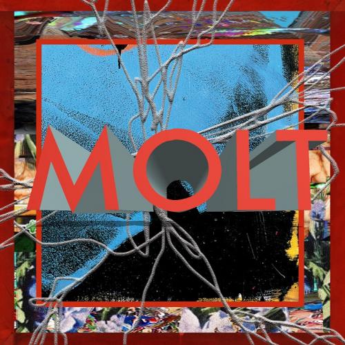【￥↓】 MOLT / MOLT [CD]