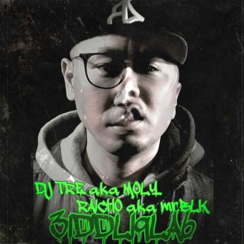 雷鳥 & DJ TRE / 3IDDLI9LA6 [CD]