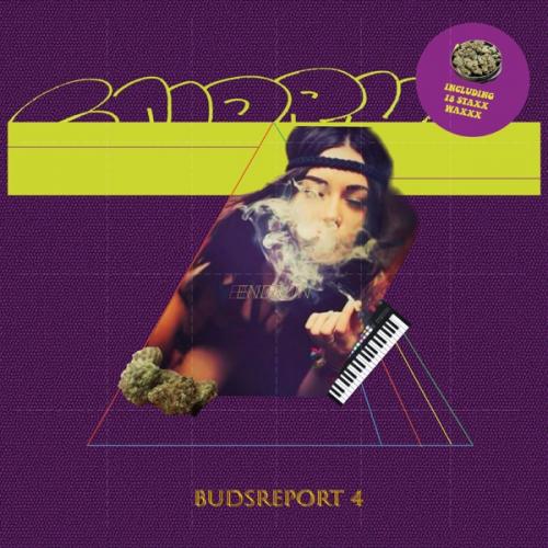 ENDRUN / BUDS REPORT Vol.4