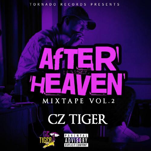 Cz TIGER / AFTER HEAVEN - Mixed By DJ GURI [CD]