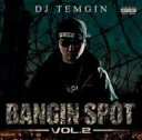 DJ TEMGIN / Bangin Spot Vol.2