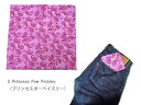 ＜ネコポス対応＞【HAV A HANK】ハバハンク Animal Prints Bandana　アニマルプリント・バンダナ 3