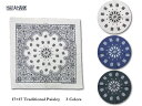 <ネコポス対応>【HAV A HANK】ハバハンク 17" PAISLEY Bandana ペイズリー・バンダナ