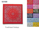 ＜ネコポス対応＞【HAV A HANK】ハバハンク PAISLEY Bandana　ペイズリー・バンダナ