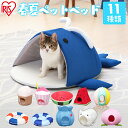 \在庫処分!/猫 ベッド ペット用 クールベッド PCB19 浮き輪 スイカ ビーチボール くじら ジェラート 春夏 ひんやり ひんやりベッド 暑さ対策 春用 夏用 ハウス 家 室内 犬 イヌ いぬ 猫 ネコ ねこ モチーフ アイリス 送料無料 【orikomi055】 あす楽 - キャットランド