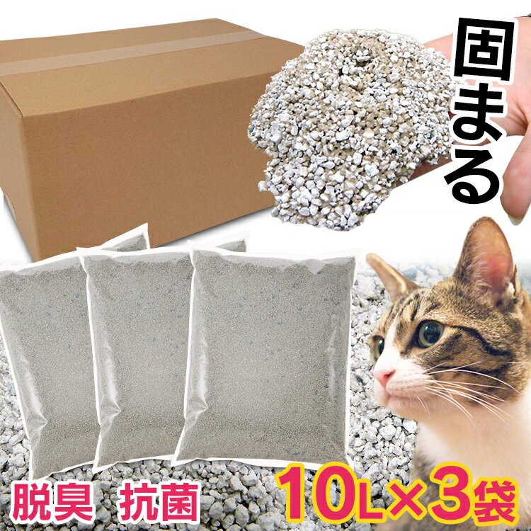 [200円OFFクーポン有！3日9時59分迄]猫