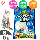 猫砂 シリカゲルの猫砂 6L×5袋セット SGN-60 6リットル 5個 シリカゲル ねこ砂 ネコ砂 活性炭配合 脱臭 猫トイレ トイレ砂 トイレ用品 消耗品 スノコ式トイレ専用【RUP】