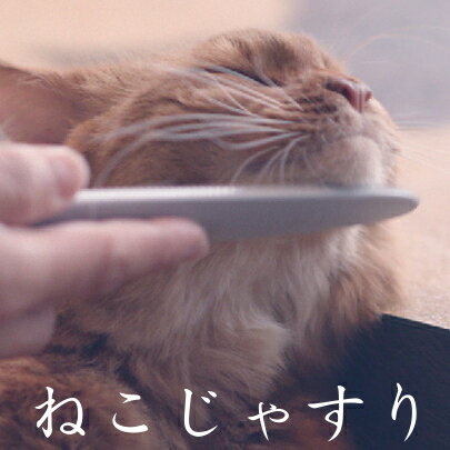  |Cg5{ 6 20 0:00`6 22 23:59 NqbgҖ]̏i ˂Ⴗ ^IJ LႷ CAT GROOMER   O[~O тÂ낢 lR L L̐ ₷ CAT 􂦂 ې O[ sN D 